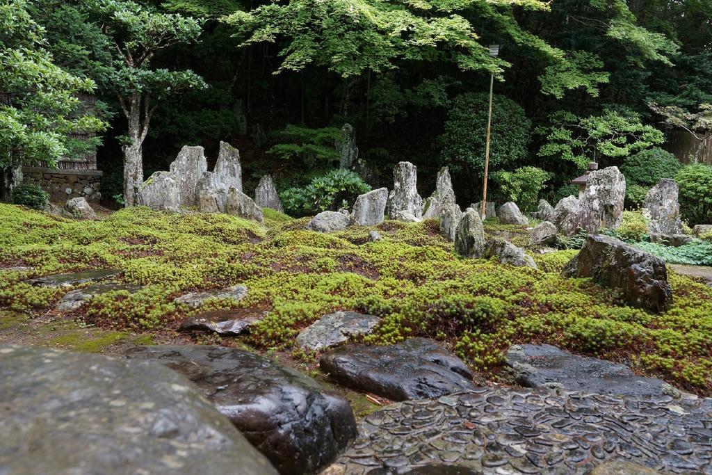 Koyasan Saizenin Otel Dış mekan fotoğraf